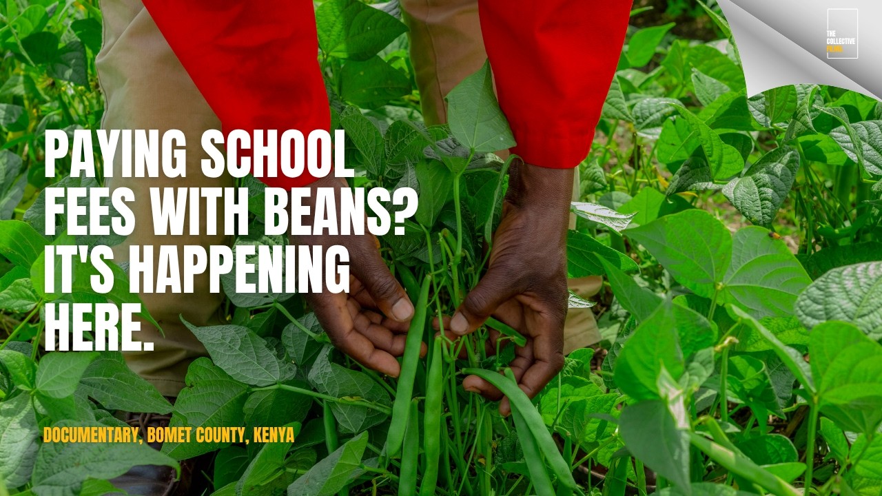 The Food Security Documentary
